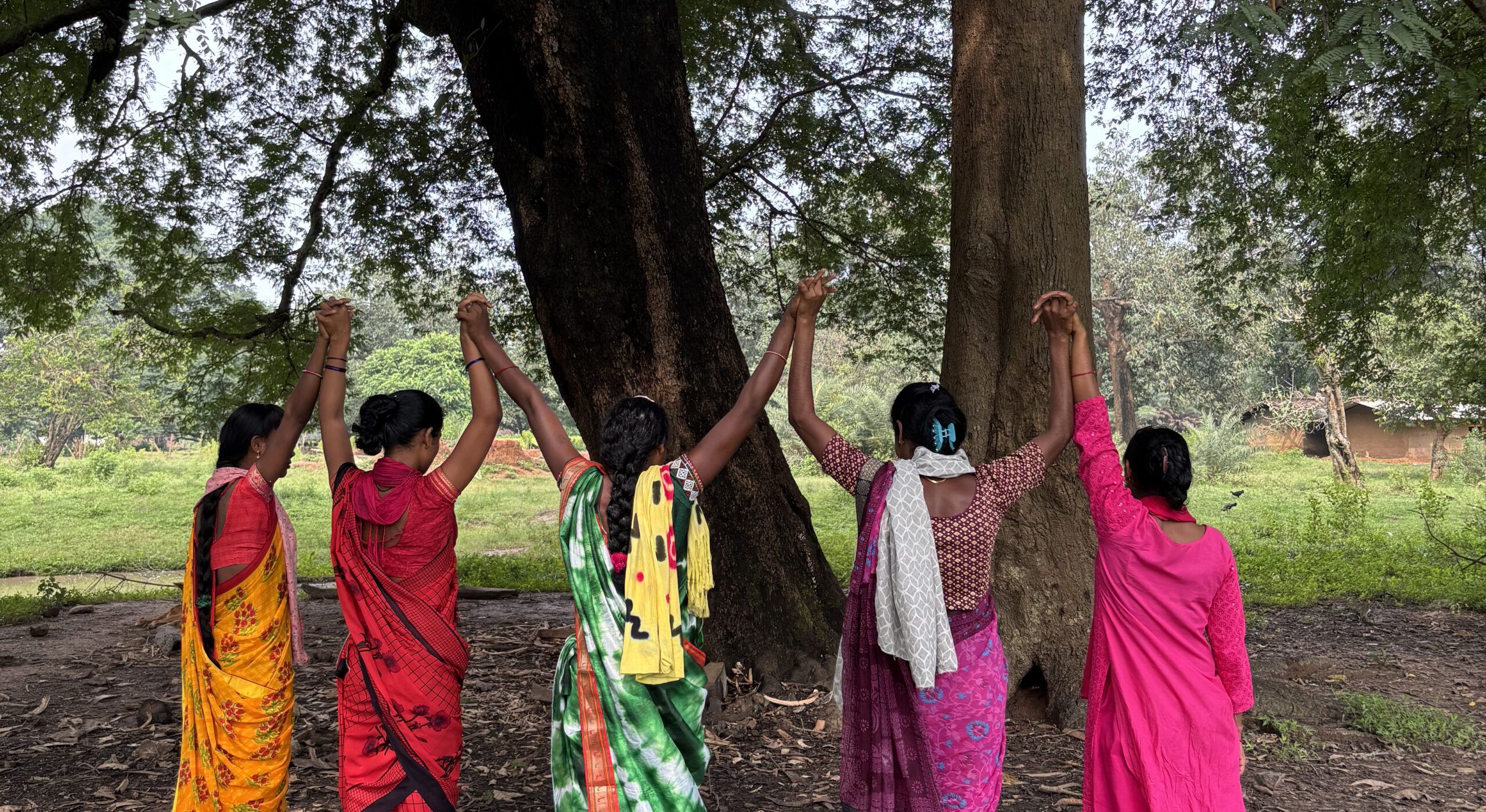 Five women holding hands while standing in front of a tree