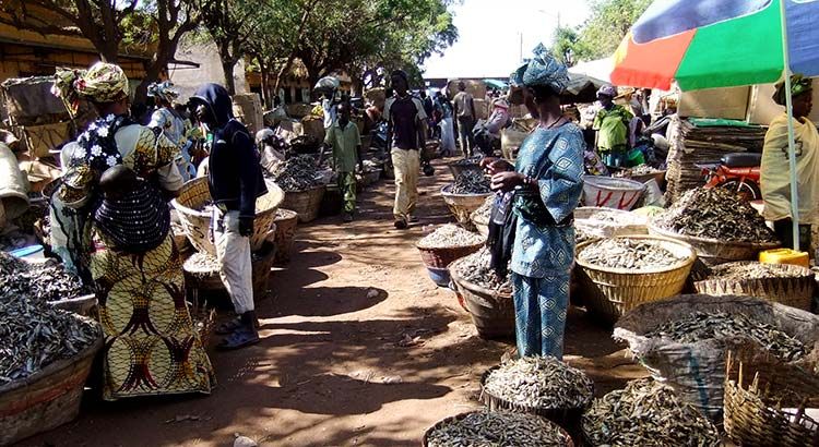 The price of Catfish has nearly doubled at local markets due to the security situation