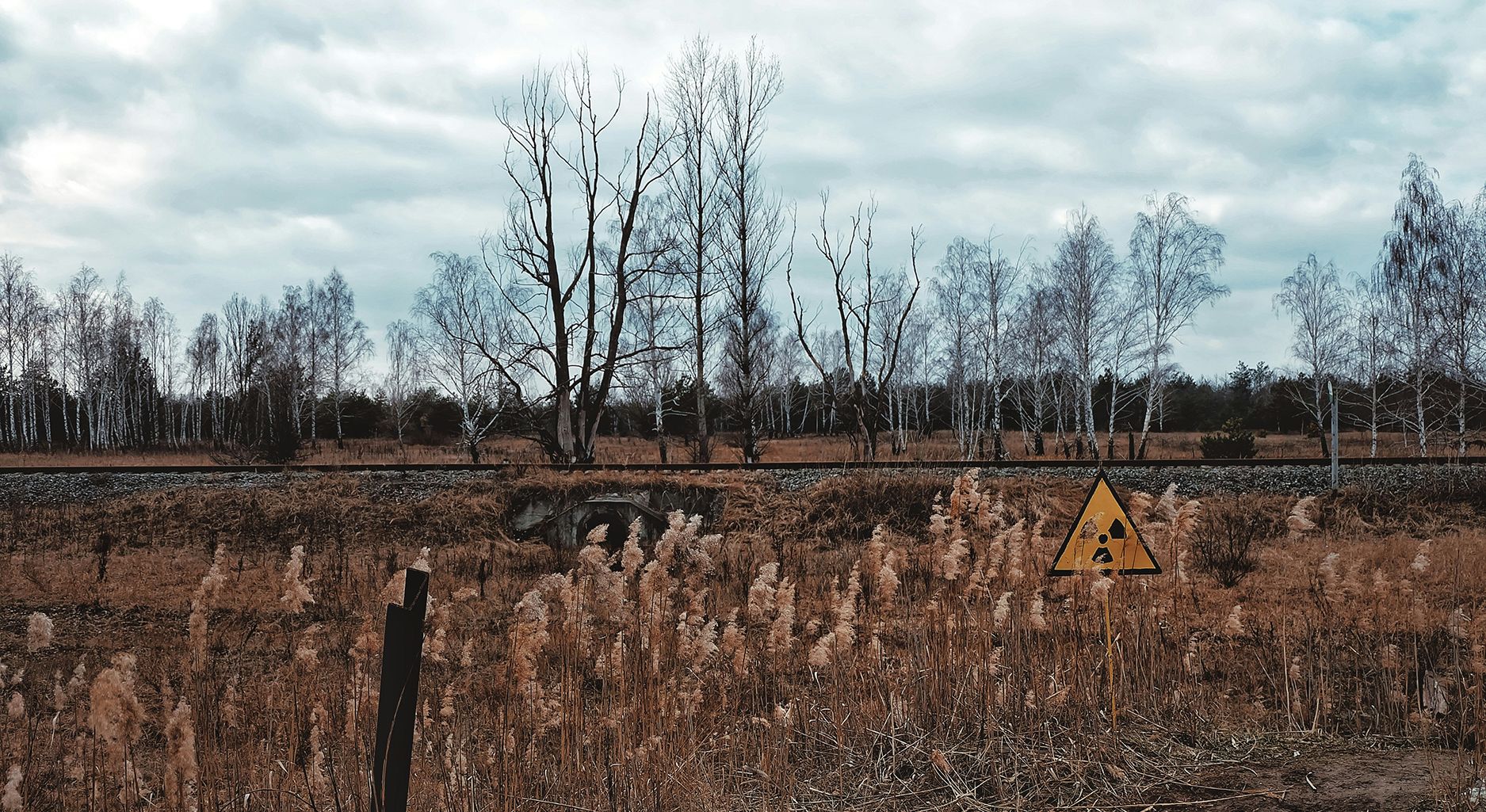 desolate landscape with trees and grey sky. A sign warns of nuclear contamination. With added logo “Socio-ecological Transformation Conflicts”