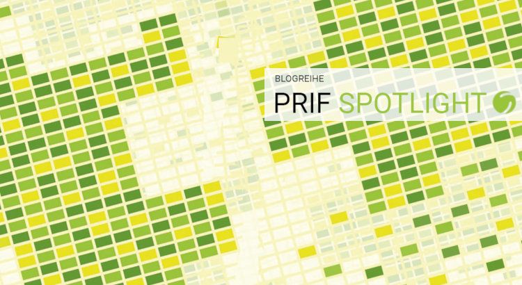 PRIF Spotlight 8/2020 Cover