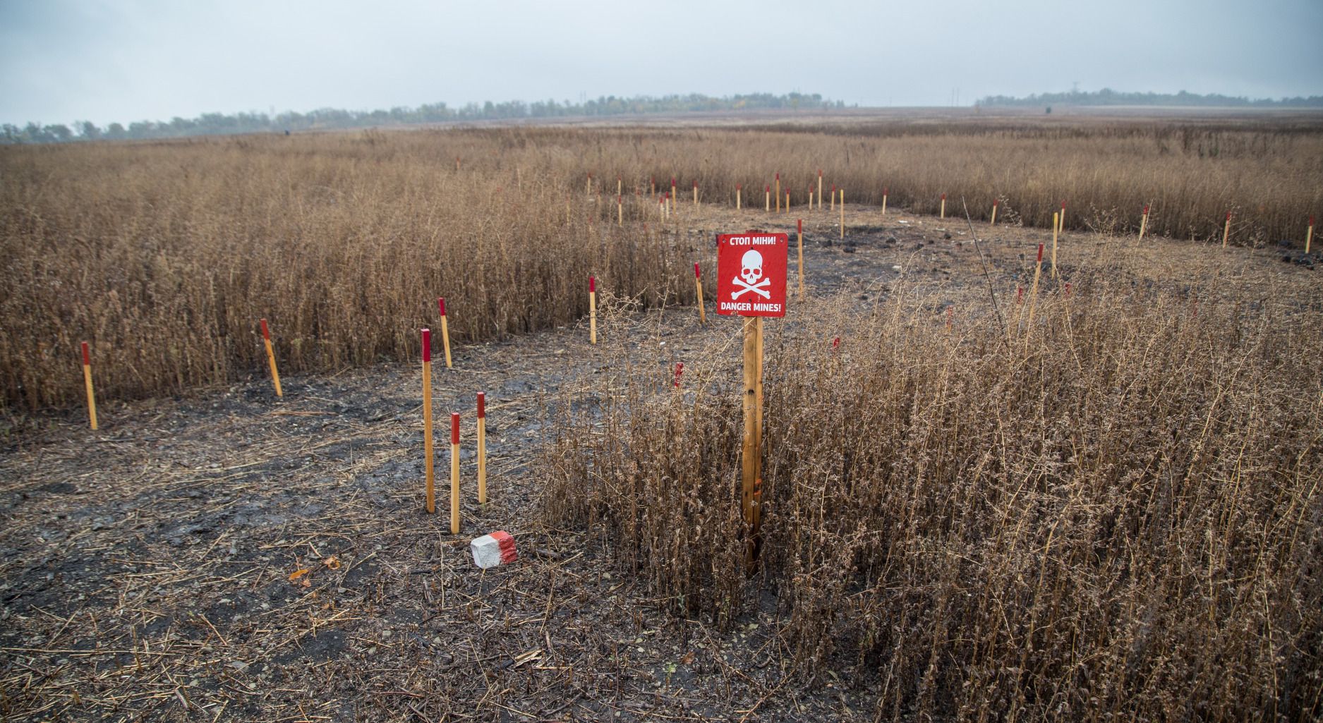Image shows landscape in Ukraine with a sign saying "Danger mines!"