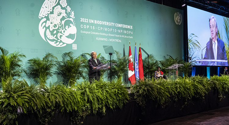 UN Secretary General Guterres gives a speech at the COP15 opening ceremony.