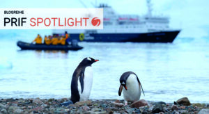 Two penguins at the shore with a ship in the background and a boat that has people with orange jackets on it.