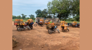 Overloaded motorcycles in front of trees.