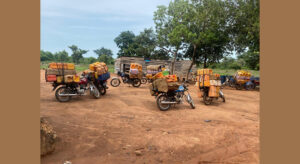 Overloaded motorcycles in front of trees.