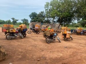 Overloaded motorcycles in front of trees.